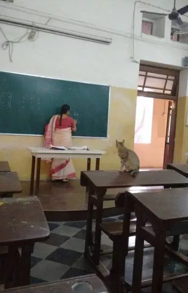 Picdump 207 - #47 