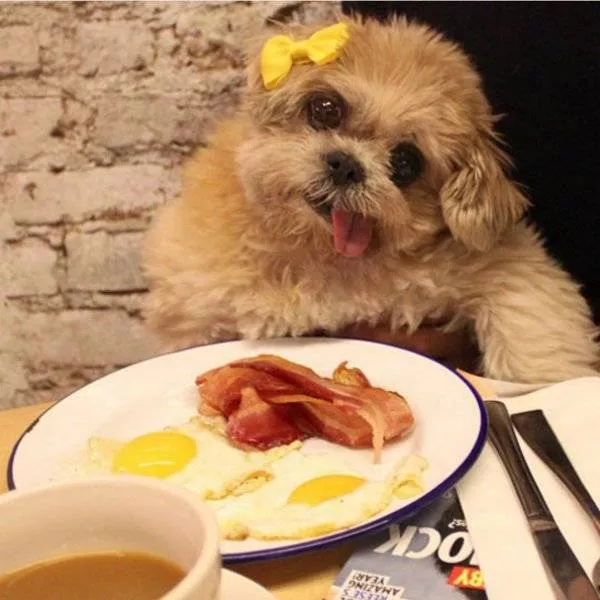 Picdump 207 - #51 