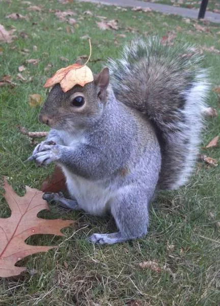 Picdump 207 - #54 