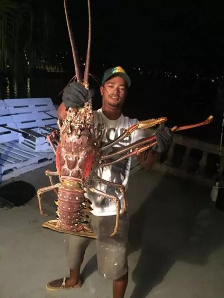 Picdump 207 - #6 