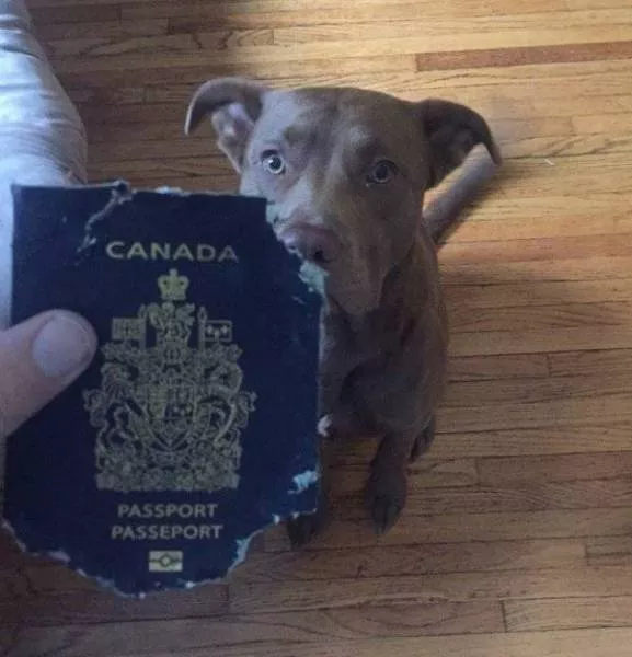 Picdump 208 - #20 