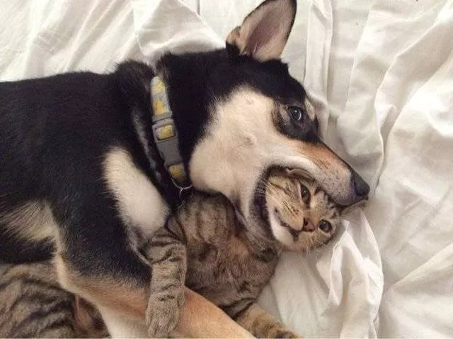 Picdump 208 - #21 