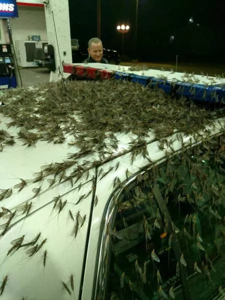 Picdump 208 - #9 