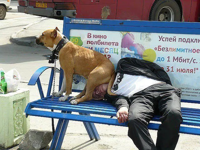 Im the boss here - #8 