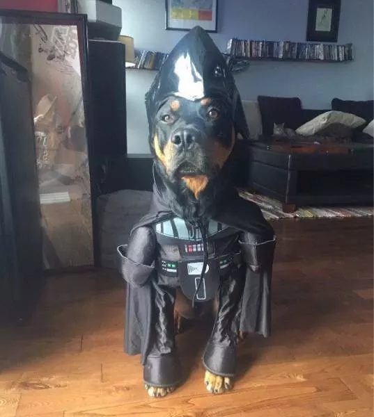 Picdump 209 - #18 