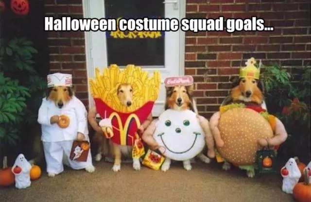 Picdump 209 - #43 