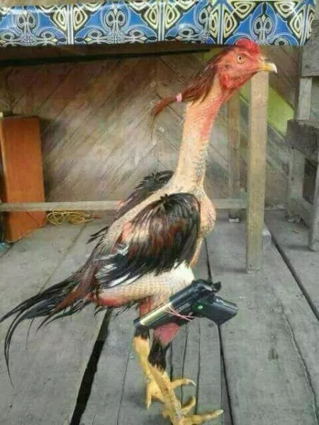 Picdump 209 - #9 