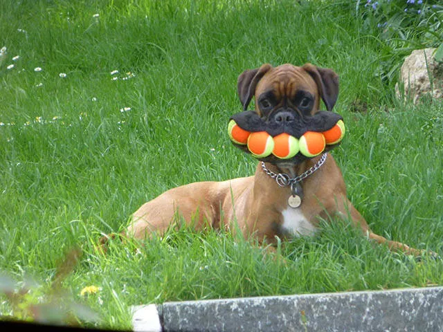 Picdump 210 - #14 