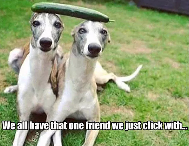 Picdump 210 - #41 