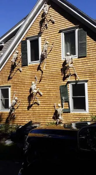 Picdump 211 - #14 