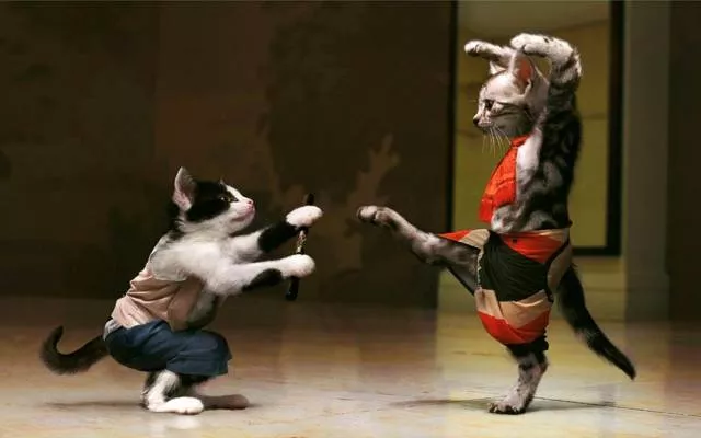 Picdump 211 - #47 