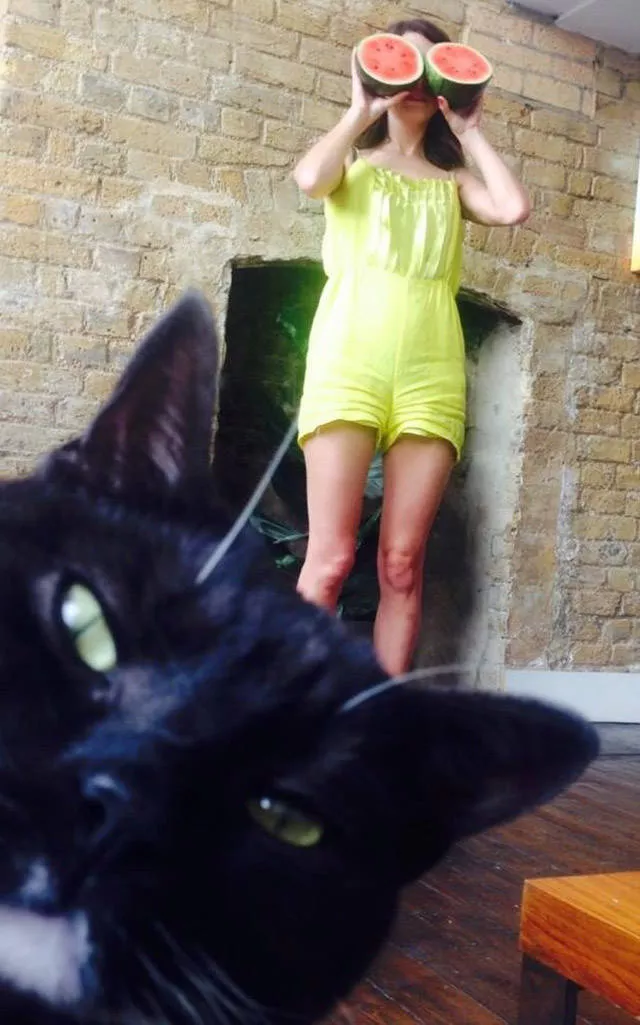 Picdump 212 - #13 
