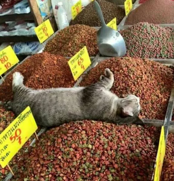 Picdump 212 - #34 