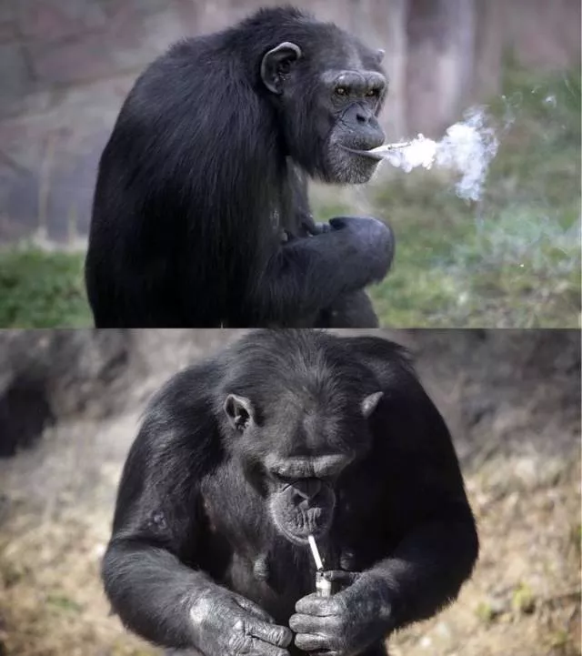 Picdump 212 - #48 