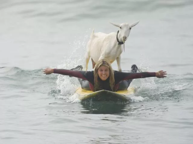 Picdump 213 - #26 