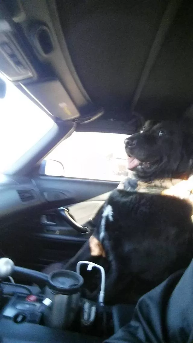 Picdump 213 - #40 