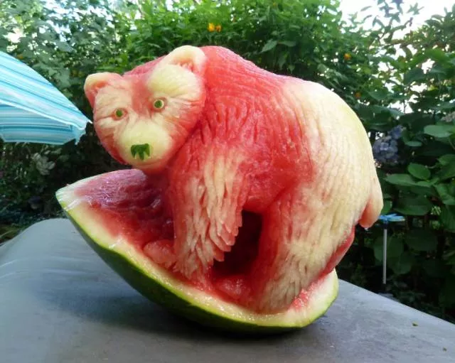 Picdump 213 - #44 